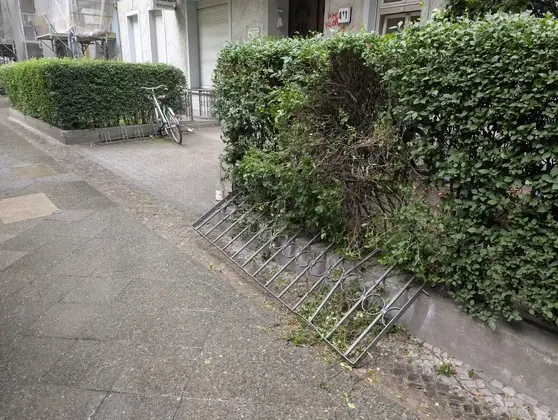 Umgefallenes Metallgitter lehnt an einer Hecke vor einem Wohnhaus auf einem Gehweg.