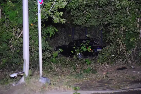 Schwarzes Fahrzeug steht in dichter Vegetation neben beschädigter Laterne und Verkehrsschild