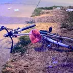 Umgefallenes Fahrrad mit rotem Plastikbeutel im Gepäckkorb liegt auf Gras neben Gehweg und Backsteinmauer