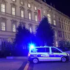 Polizeiauto mit Blaulicht vor einem historischen Gebäude bei Nacht.