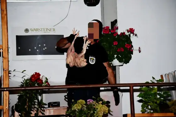 Person mit schwarzem T-Shirt hält zwei gerupfte Hühner in der Hand, im Hintergrund Wand mit Warsteiner-Logo und blühende Pflanzen auf einem Balkon