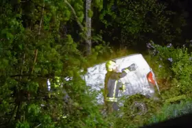 Feuerwehrmann in Schutzkleidung steht neben einem weißen Lieferwagen, der zwischen Bäumen und Sträuchern steckt.