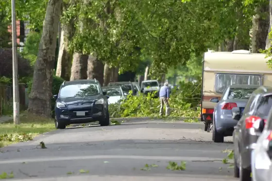 Ein Baum liegt quer auf einer Straße, mehrere parkende Autos und eine Person im Hintergrund unter grünen Bäumen.