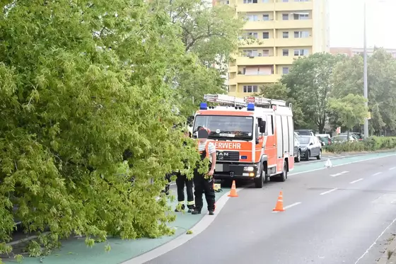 Feuerwehrfahrzeug steht auf der Straße neben umgestürztem Baum, Feuerwehrleute in Einsatzkleidung sichern die Unfallstelle ab.