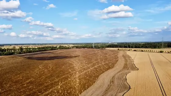 Luftaufnahme eines abgebrannten Feldes neben einem unversehrten Getreidefeld unter blauem Himmel mit Wolken.