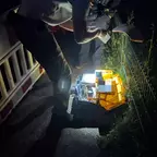 Zwei Personen bücken sich nachts über eine gelbe Werkzeugkiste neben einem Metallzaun, beleuchtet von einer starken Lampe.