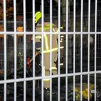 Feuerwehrmann in gelber Schutzkleidung und Helm steht hinter einem Gitterzaun bei Nacht.