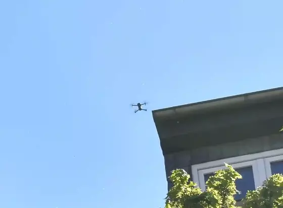 Drohne fliegt am blauen Himmel über einem Gebäude mit Fenstern und grünen Blättern im Vordergrund.