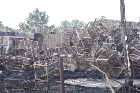 Zerfallene, ineinander gestapelte Metallkäfige auf schlammigem Boden vor Holzwänden und Bäumen.