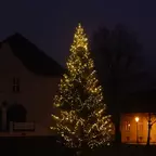 Weihnachtsbaum mit Lichterkette vor dunklem Nachthimmel, im Hintergrund zwei beleuchtete Gebäude.