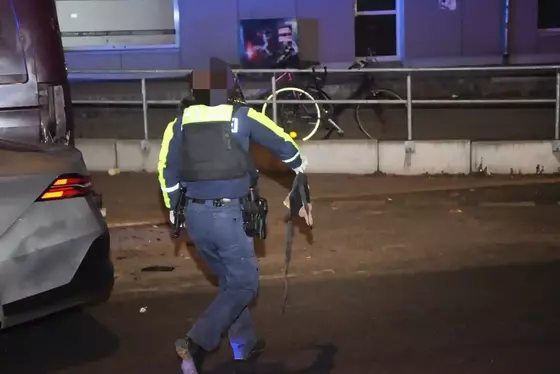 Polizistin in dunkler Uniform mit reflektierenden gelben Streifen hält in der rechten Hand eine Penisattrappe und trägt eine Schutzweste auf einer Straße neben einem geparkten Auto.